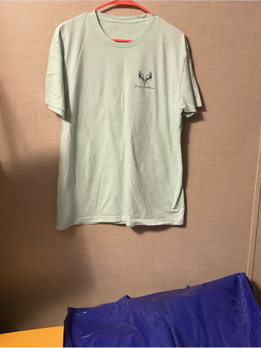 Men's Crewneck T-Shirt in Light Mint with Chest Logo